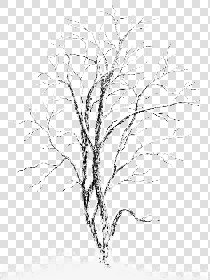 CUT OUT WINTER TREES PACK 2 00039 - 21 - cut out winter tree px 960x1280