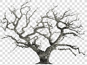 CUT OUT WINTER TREES PACK 2 00039 - 29 - cut out winter tree px 1600x1204