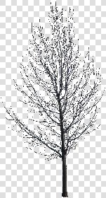 CUT OUT WINTER TREES PACK 1 00036 - 4 - cut out winter trees pack 1 - px 1047x1936