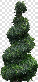 CUT OUT TREES PACKAGE 1 00011 - px 837x1815
