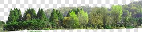 CUT OUT TREES PACKAGE 1 00011 - px 2496x568