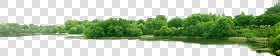 CUT OUT TREES PACKAGE 1 00011 - px 3706x745