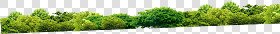 CUT OUT TREES PACKAGE 1 00011 - px 4724x659