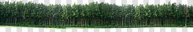 CUT OUT TREES PACKAGE 1 00011 - px 4073x685