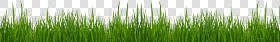 CUT OUT TREES PACKAGE 1 00011 - px 3600x550