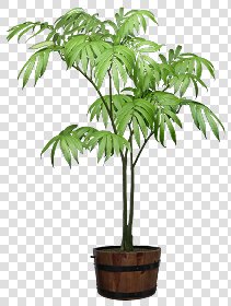 CUT OUT POT PLANTS PACK 1 00016 - pixel 1240 x 1640