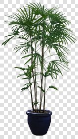 CUT OUT POT PLANTS PACK 1 00016 - pixel 840 x 1480