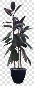 CUT OUT POT PLANTS PACK 1 00016 - pixel 480 x 1200