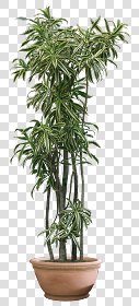 CUT OUT POT PLANTS PACK 2 00017 - pixel 600 x 1320