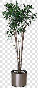 CUT OUT POT PLANTS PACK 2 00017 - pixel 640 x 1460