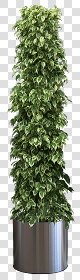 CUT OUT POT PLANTS PACK 2 00017 - pixel 480 x 1680