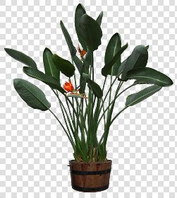 CUT OUT POT PLANTS PACK 2 00017 - pixel 1040 x 1160