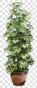 CUT OUT POT PLANTS PACK 2 00017 - pixel 560 x 1320