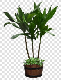 CUT OUT POT PLANTS PACK 3 00018 - pixel 1140 x 1480