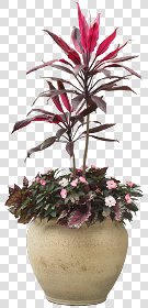 CUT OUT POT PLANTS PACK 3 00018 - pixel 600 x 1240