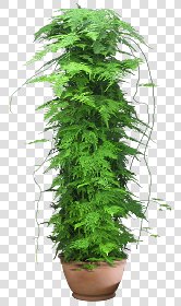 CUT OUT POT PLANTS PACK 3 00018 - pixel 880 x 1480