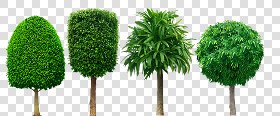 CUT OUT TREES PACKAGE 3 00015 - pixel 1024 x 427