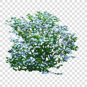 CUT OUT SHRUBS PACK 3 00022 - Pixel 894 x 894