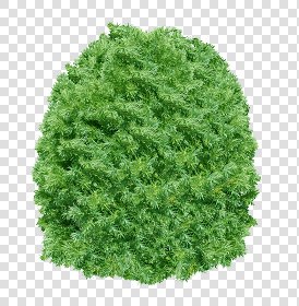 CUT OUT SHRUBS PACK 3 00022 - Pixel 1483 x 1514