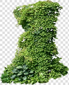 CUT OUT SHRUBS & HEDGES PACK 4 00023 - cut out shrub pack 4.12 pixel 574 x 702