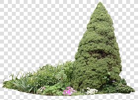 CUT OUT SHRUBS & HEDGES PACK 4 00023 - cut out shrub pack 4.14 pixel 826 x 596