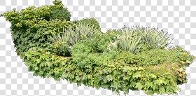 CUT OUT SHRUBS & HEDGES PACK 4 00023 - cut out shrub pack 4.15 pixel 1325 x 633