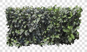 CUT OUT SHRUBS & HEDGES PACK 4 00023 - cut out hedge pack 4.18 pixel 1000 x 602