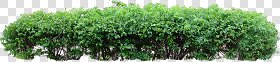 CUT OUT SHRUBS & HEDGES PACK 4 00023 - cut out shrub pack 4.2 - pixel 1786 x 399