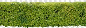 CUT OUT SHRUBS & HEDGES PACK 4 00023 - cut out hedge pack 4.22 pixel 2832 x 940