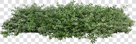 CUT OUT SHRUBS & HEDGES PACK 4 00023 - cut out shrub pack 4.3 pixel 1500 x 496