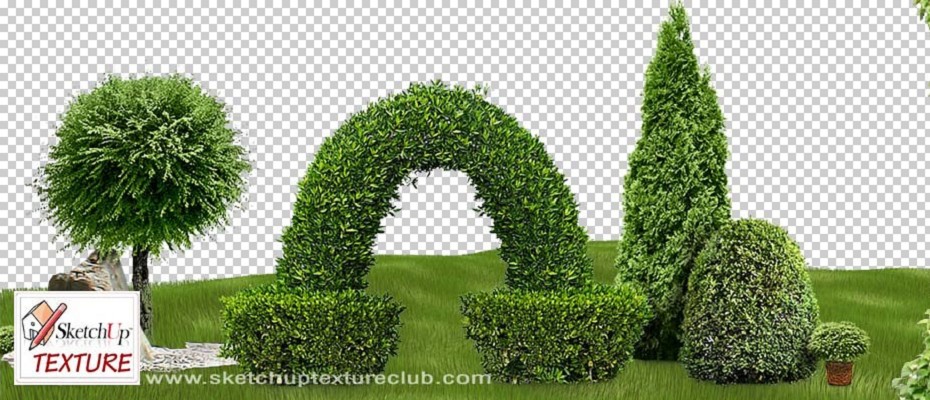 CUT OUT VEGETATION