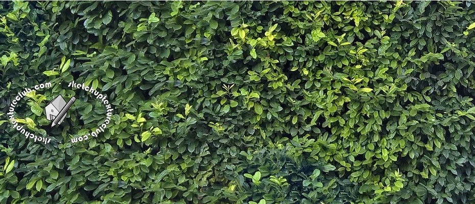 GREEN HEDGE TEXTURES SEAMLESS
