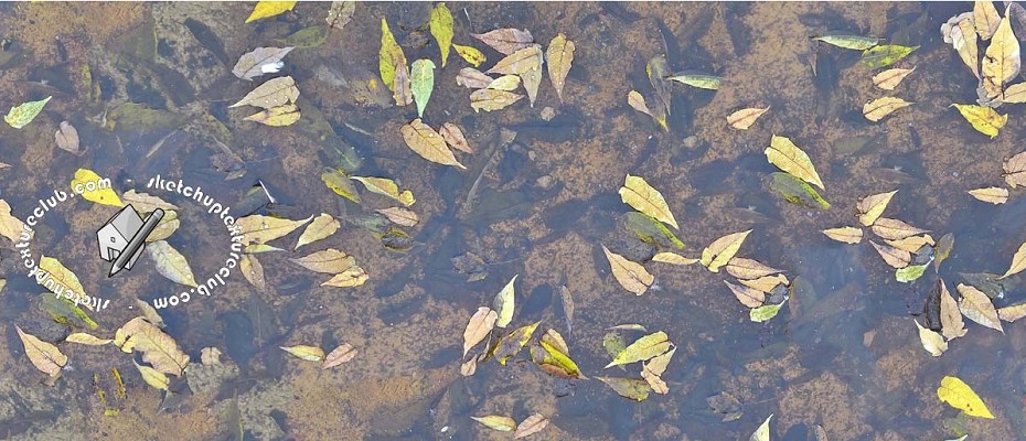 WATER WITH DEAD LEAVES TEXTURE SEAMLESS