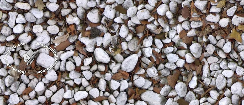 WHITE PEBBLES WHIT DEAD LEAVES TEXTURES SEAMLESS