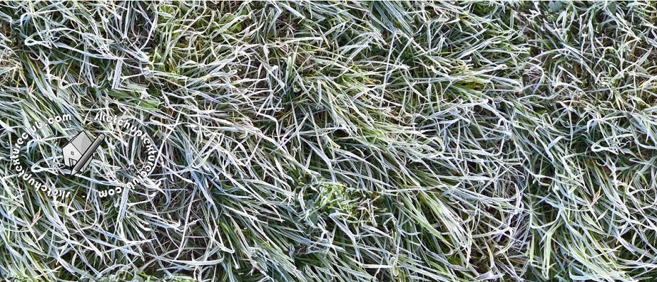 FROZEN GRASS TEXTURES SEMALESS