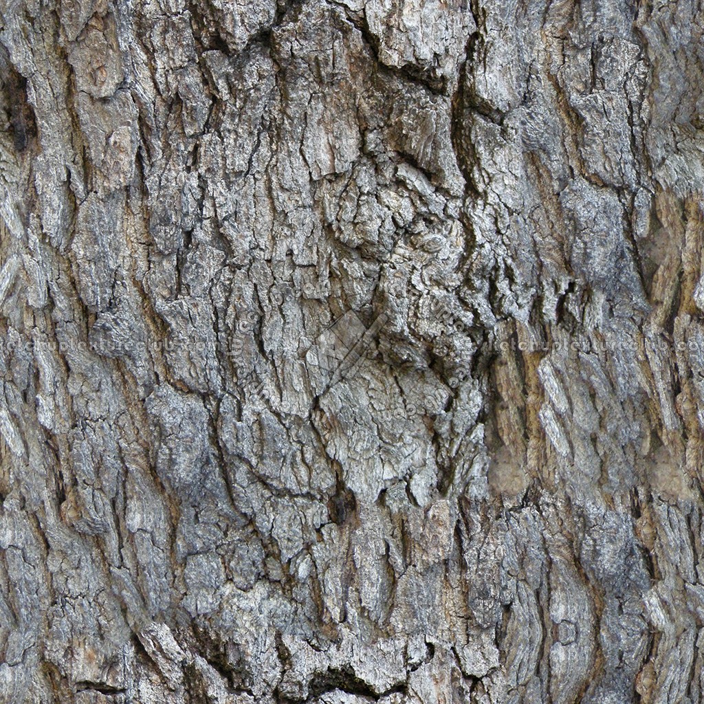 Bark texture seamless 12307