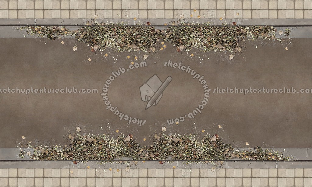 Textures   -   ARCHITECTURE   -   ROADS   -   Roads  - Dirt road texture seamless 07526 (seamless)