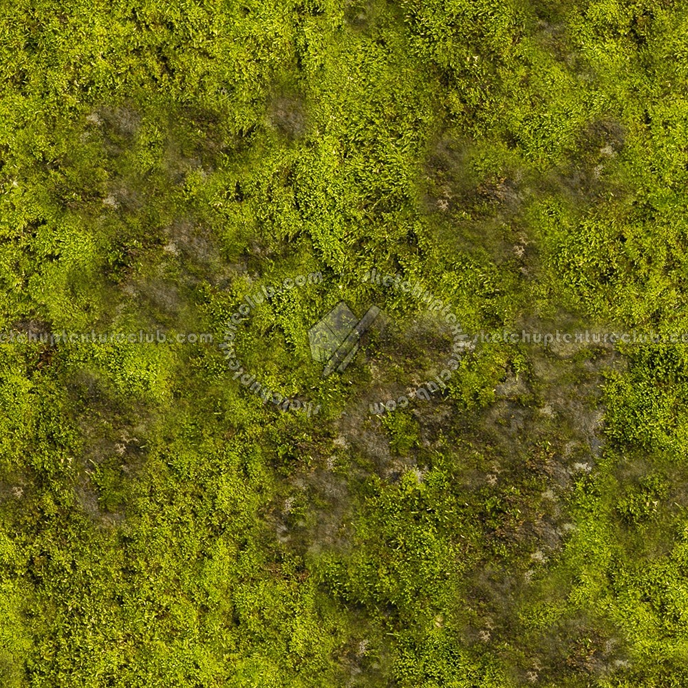 moss download moss download