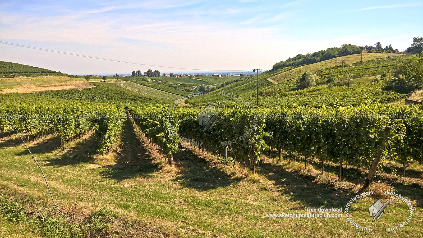 Textures   -   BACKGROUNDS &amp; LANDSCAPES   -   NATURE   -   Vineyards  - Vineyards background 17723