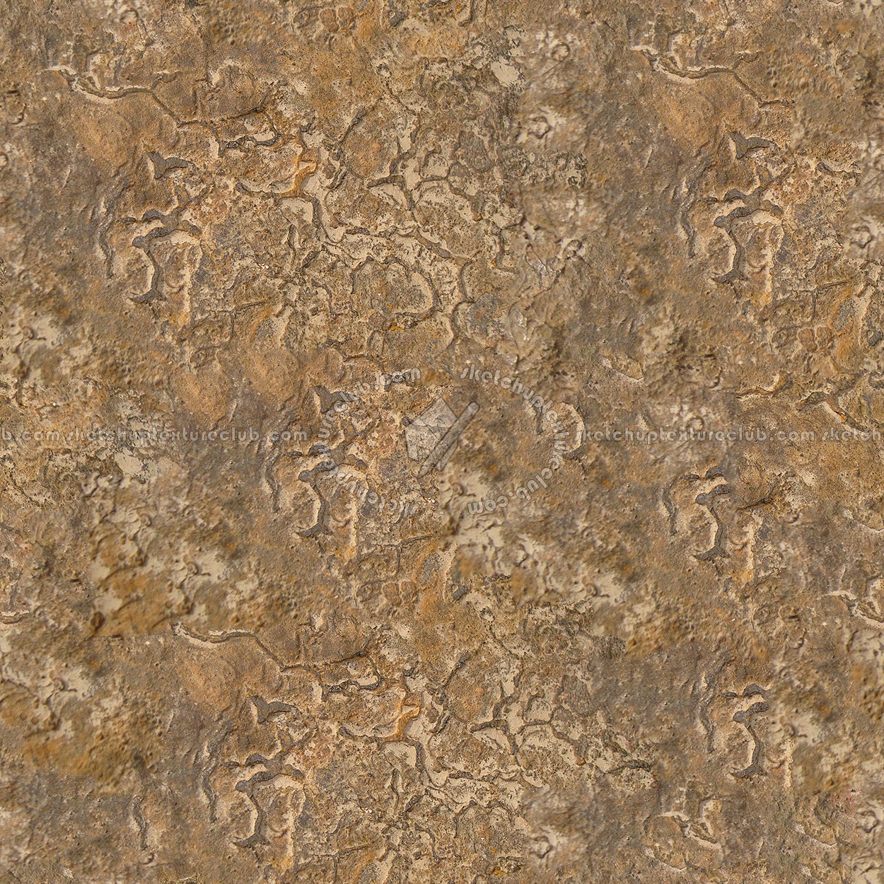 Textures   -   NATURE ELEMENTS   -   ROCKS  - Rock stone texture seamless 12621 (seamless)