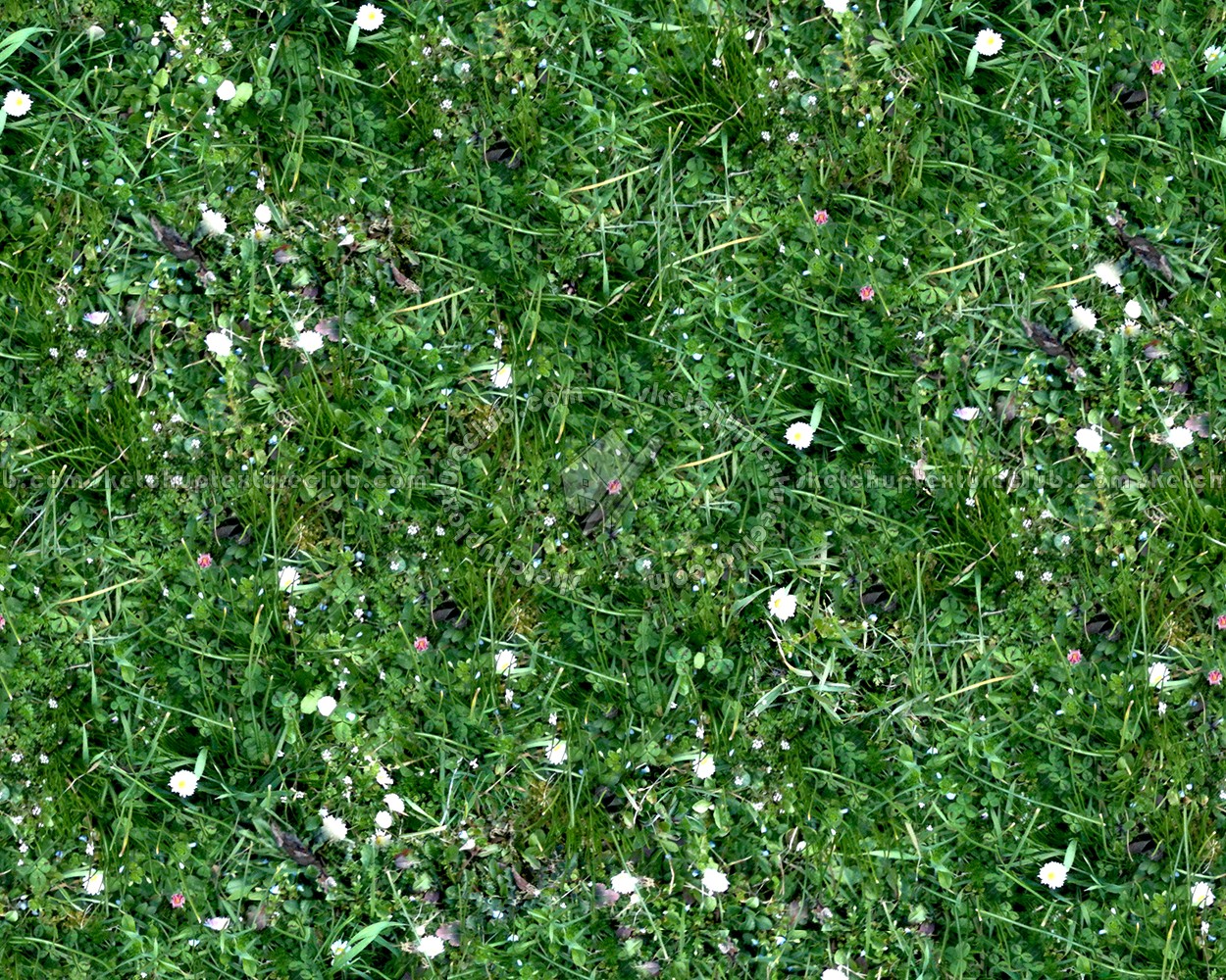 Textures   -   NATURE ELEMENTS   -   VEGETATION   -   Flowery fields  - Flowery meadow texture seamless 12940 (seamless)