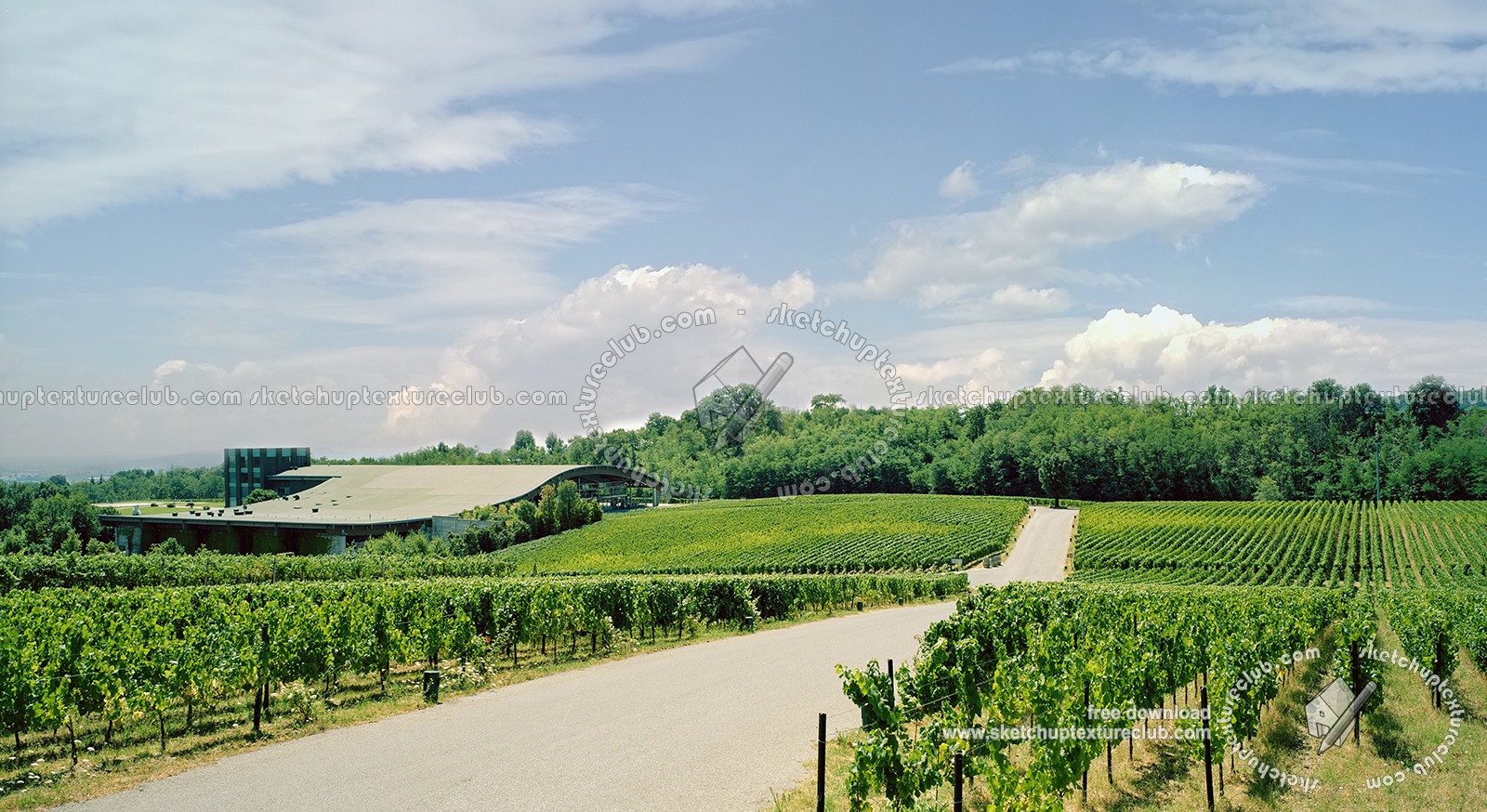 Textures   -   BACKGROUNDS &amp; LANDSCAPES   -   NATURE   -   Vineyards  - Italy franciacorta vineyards background 17725