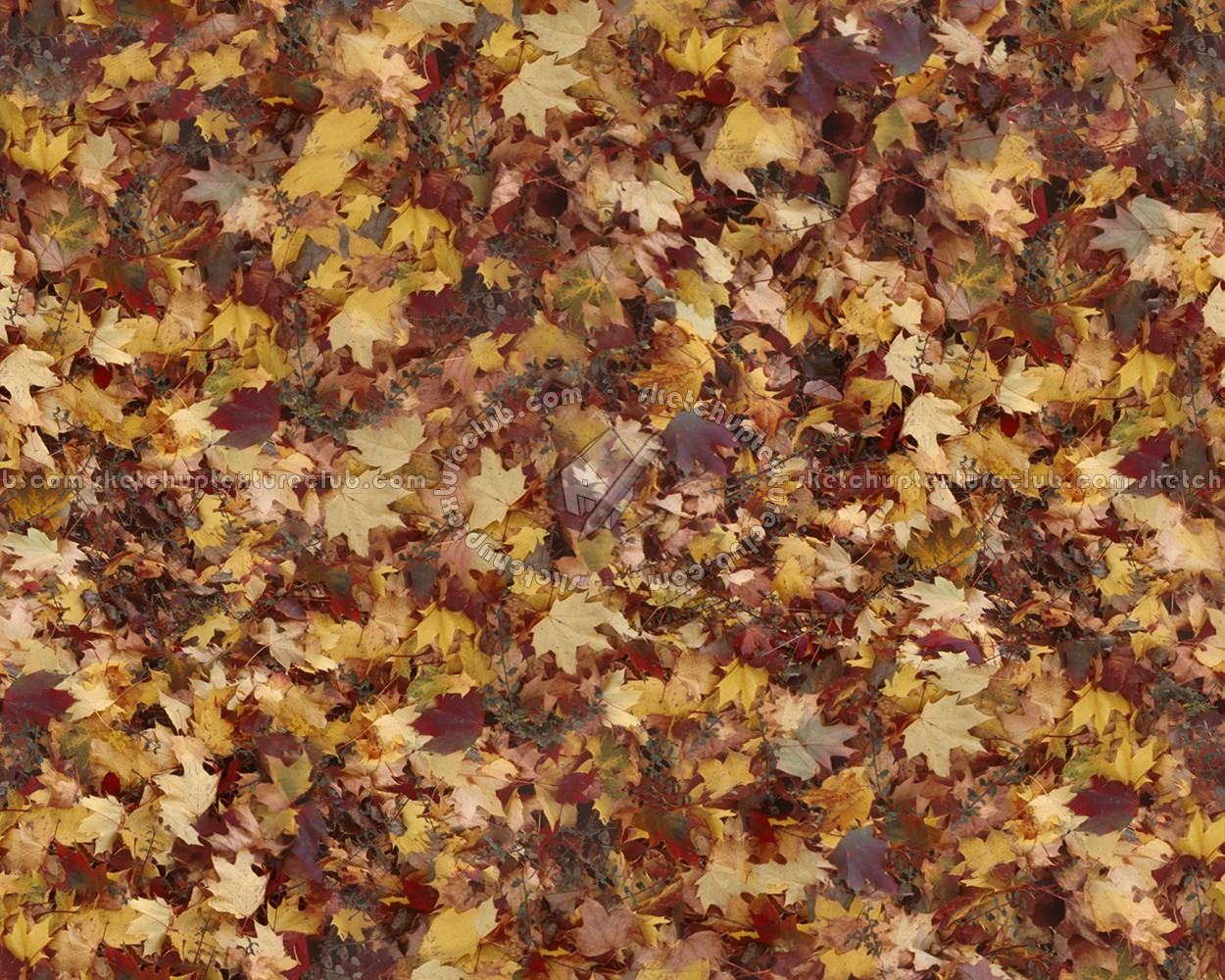 Textures   -   NATURE ELEMENTS   -   VEGETATION   -   Leaves dead  - Leaves dead texture seamless 13118 (seamless)