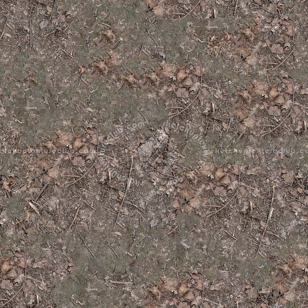 Textures   -   NATURE ELEMENTS   -   SOIL   -   Ground  - Ground texture seamless 12813 (seamless)