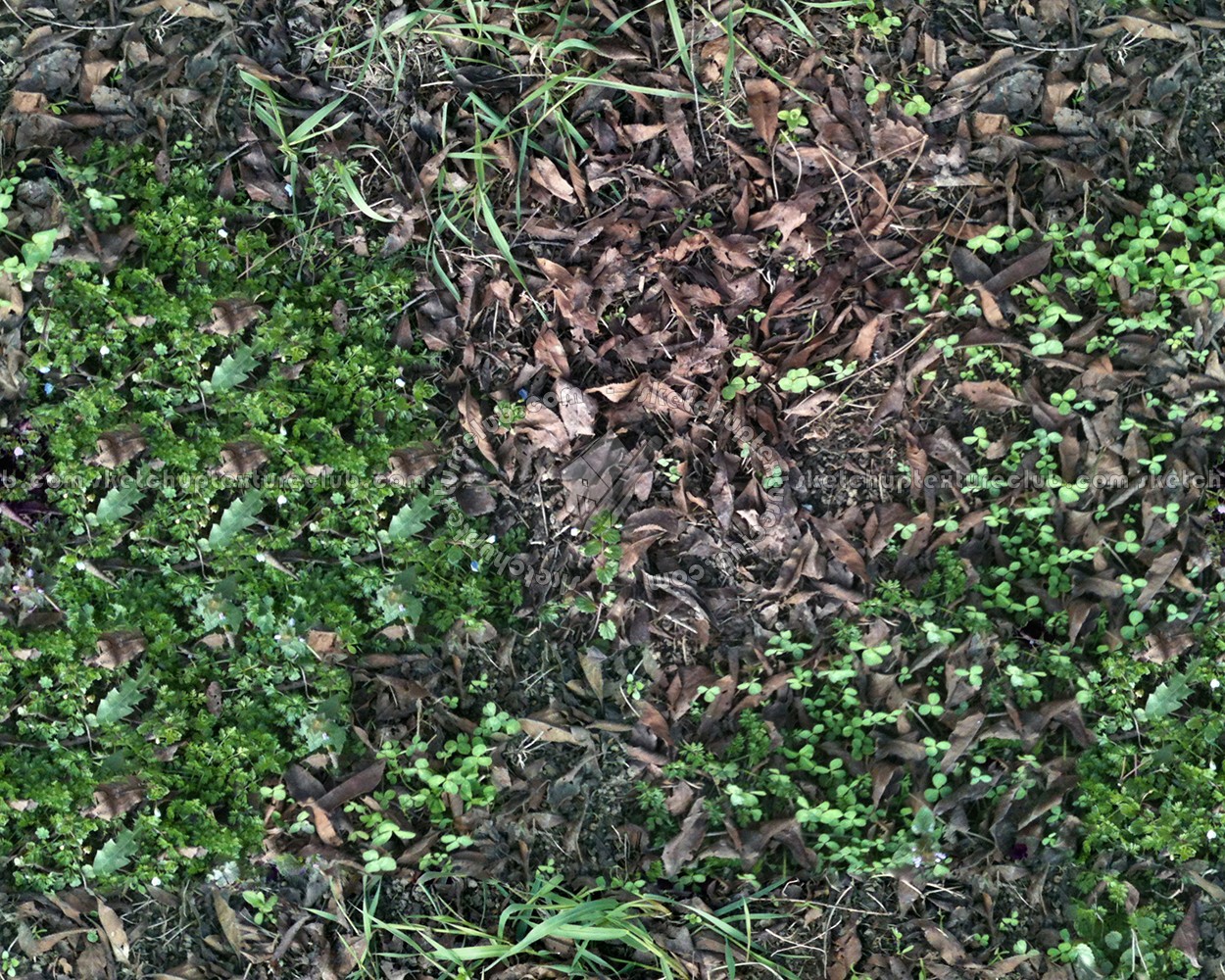 Textures   -   NATURE ELEMENTS   -   VEGETATION   -   Leaves dead  - Leaves dead texture seamless 13120 (seamless)