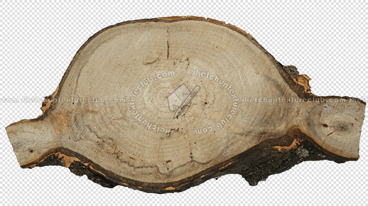 Textures   -   ARCHITECTURE   -   WOOD   -   Wood logs  - Wood logs texture 17397