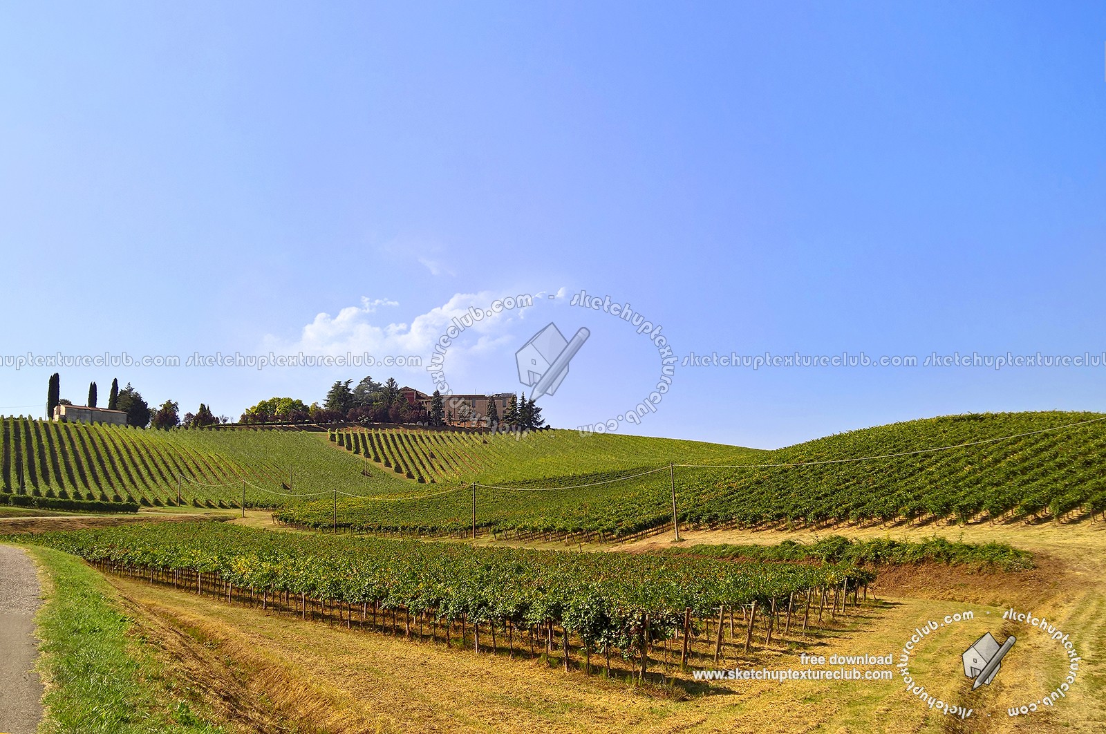 Textures   -   BACKGROUNDS &amp; LANDSCAPES   -   NATURE   -   Vineyards  - Italy vineyards background 17728