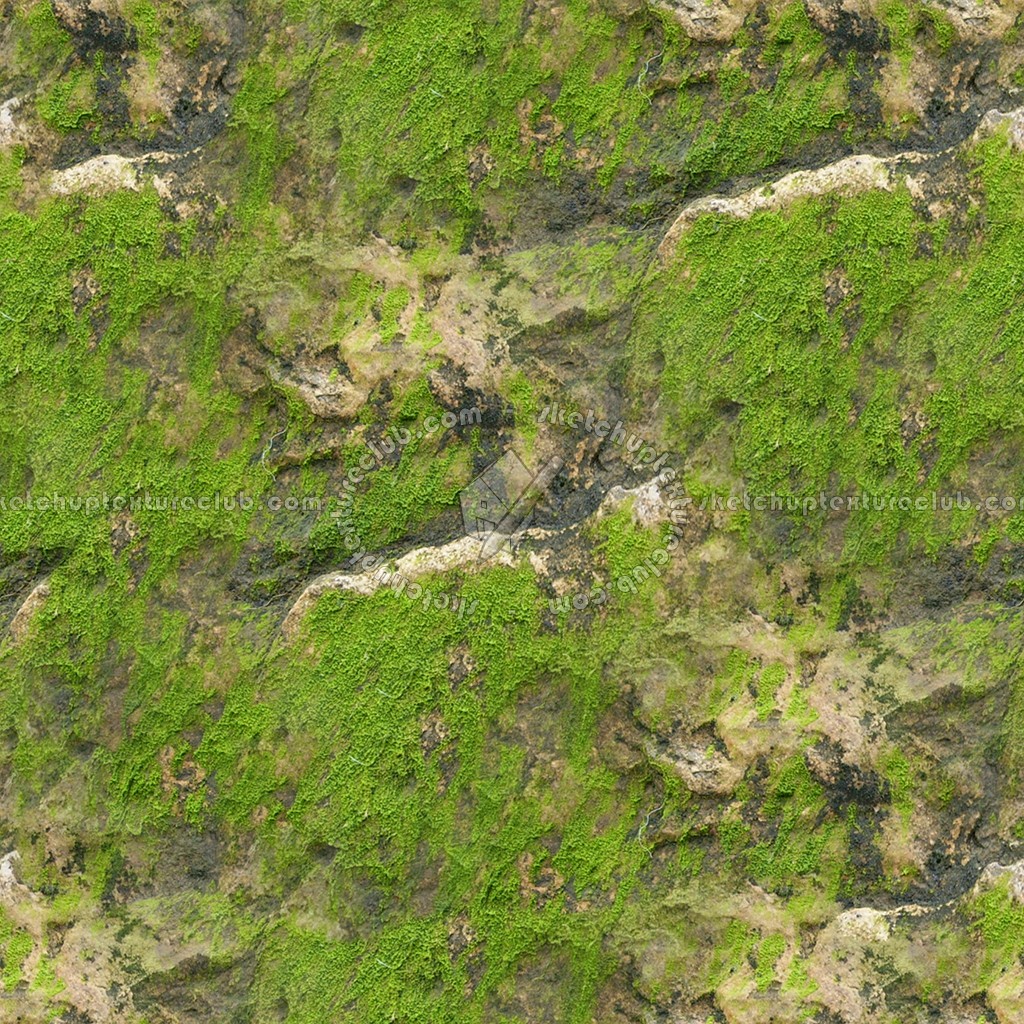 Moss Texture Seamless