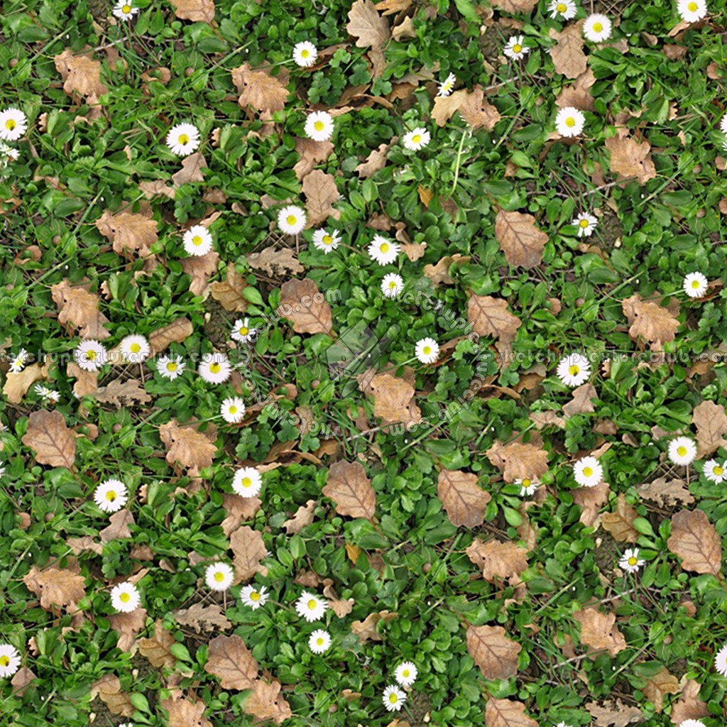 Textures   -   NATURE ELEMENTS   -   VEGETATION   -   Leaves dead  - Leaves dead texture seamless 13122 (seamless)