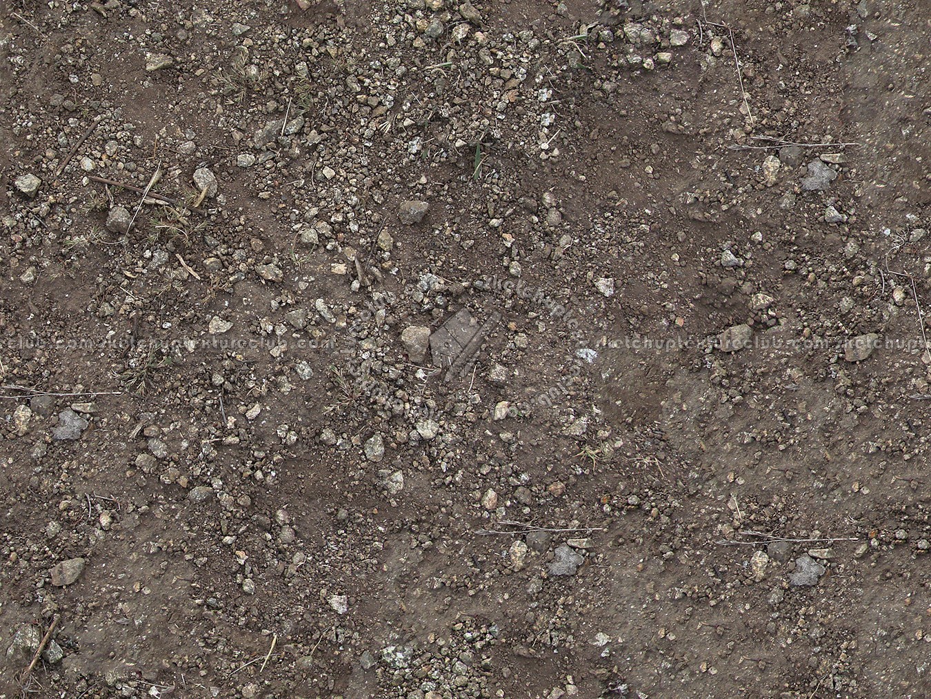 Textures   -   NATURE ELEMENTS   -   SOIL   -   Ground  - Ground texture seamless 12817 (seamless)